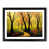 Black Framed