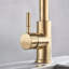 Fairmont Park Nerbone Pull Out Kitchen Faucet