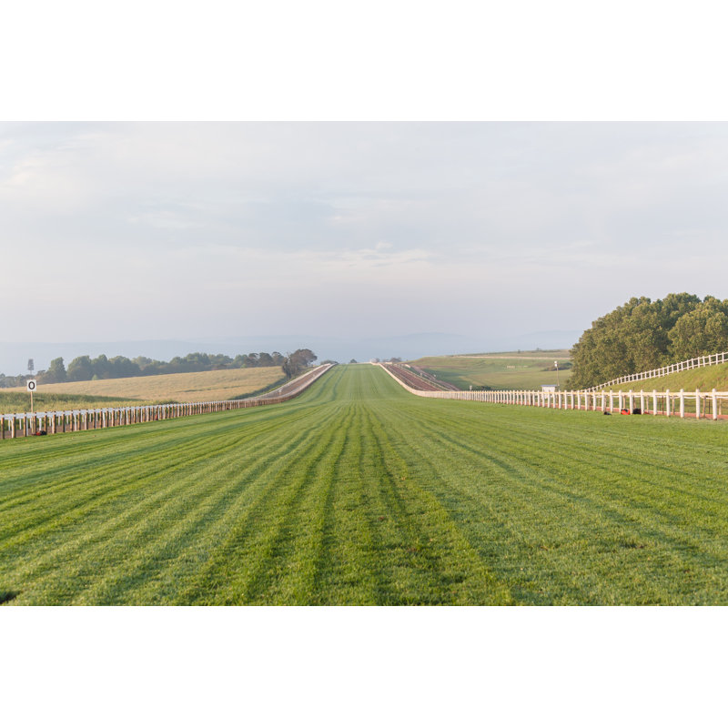 Horse Racing Track - Wrapped Canvas Print, 30cm H x 46cm W x 3.8cm D