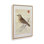 «Wood Lark» par Deborah Revell, reproduction d'art