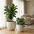 Round Concrete Planter Set Of 2, Large Outdoor Indoor Handmade Rustic Decorative Planter Pots With Drainage Holes For Home Garden Patio,15" X 13" & 18" X 16" (Off White)