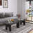 Modern Nesting Coffee Table Set