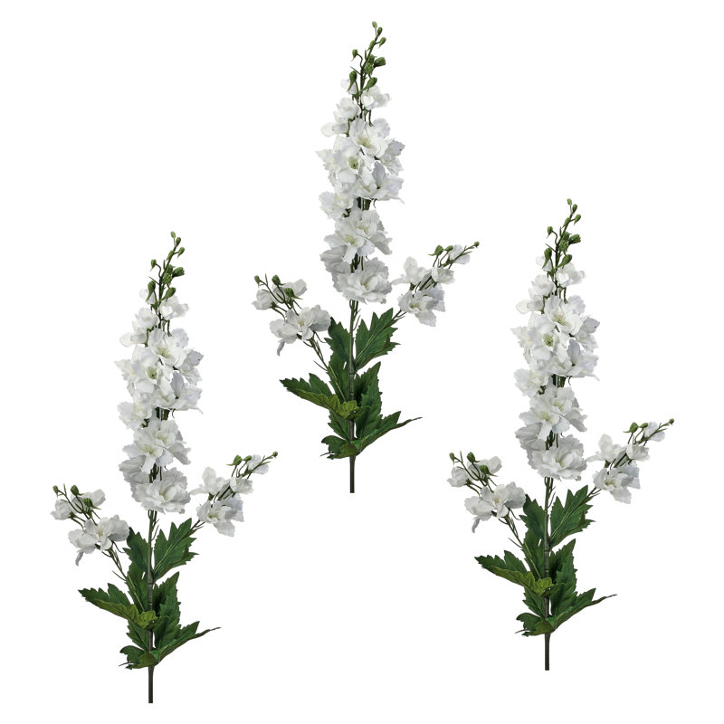 35 "Soft Touch Garden Delphinium, Blanc