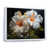 Cadre flottant blanc