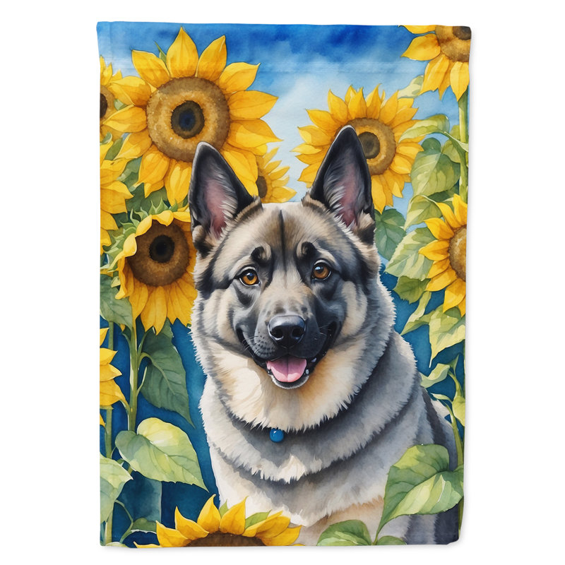 Lévrier irlandais dans le drapeau du jardin de tournesols, Elkhound norvégien
