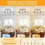 Directionnel et projecteur-114357191-129037193