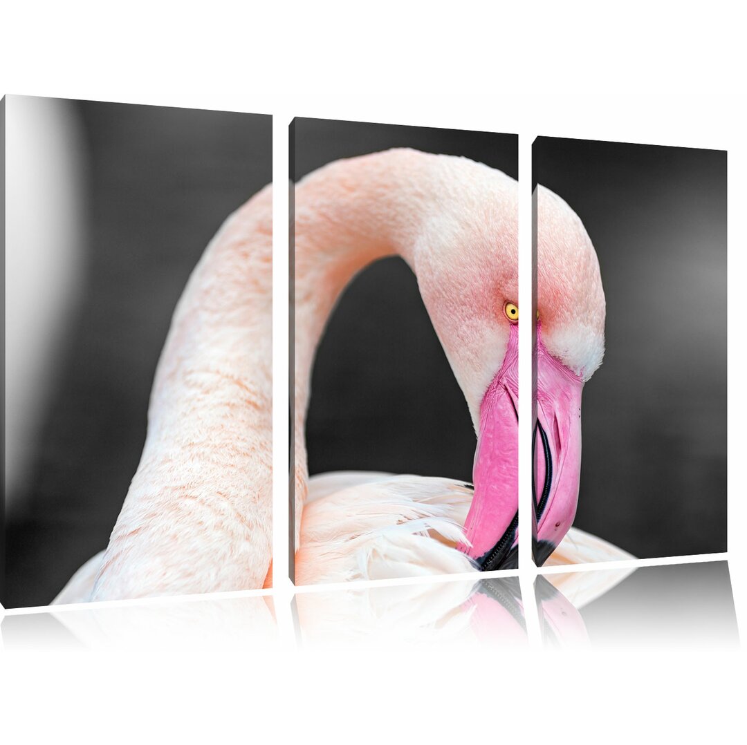 3-tlg. Leinwandbilder-Set Schöner Flamingo putzt sein Gefieder, Grafikdruck