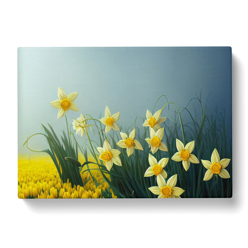 XXX-H1022-WF-7818X Showstopping Daffodil Flowers - Wrapped Canvas Print, 35cm H x 50cm W x 3cm D