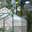 Windproofaluminum Greenhouse Polycarbonate Greenhouse Raised Base And Anchor Aluminum Heavy Duty Walk-In Greenhouses-115824012-115824016