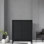 Modern Homestay Porch Cabinet