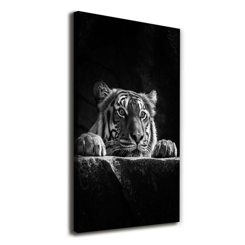 Tiger - Wrapped Canvas Print