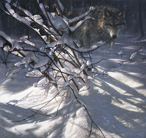 « out of the obscurité » par collin bogle, reproduction d’art