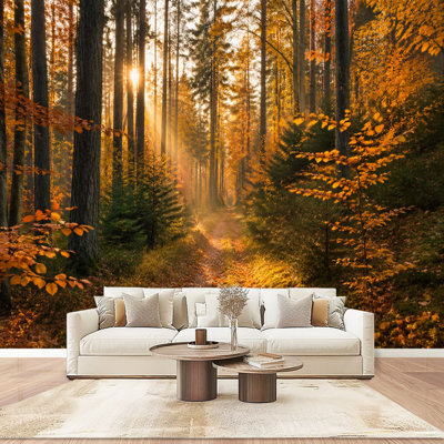 Peel and Stick Wallpaper Wall Mural Autumn Sunlit Forest Path Golden Rays Tall Pine Trees Colorful Fall Wall Art Self Adhesive and Removable
