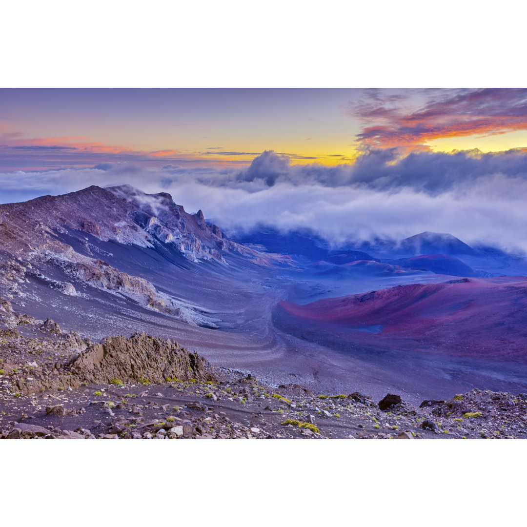 Maui auf Hawaii von Don White - Leinwandbild