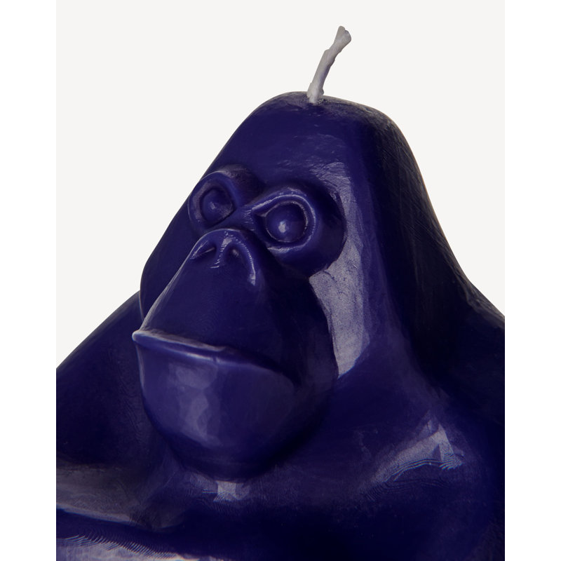 Bougie Gabba Gabba Hey, Bleu