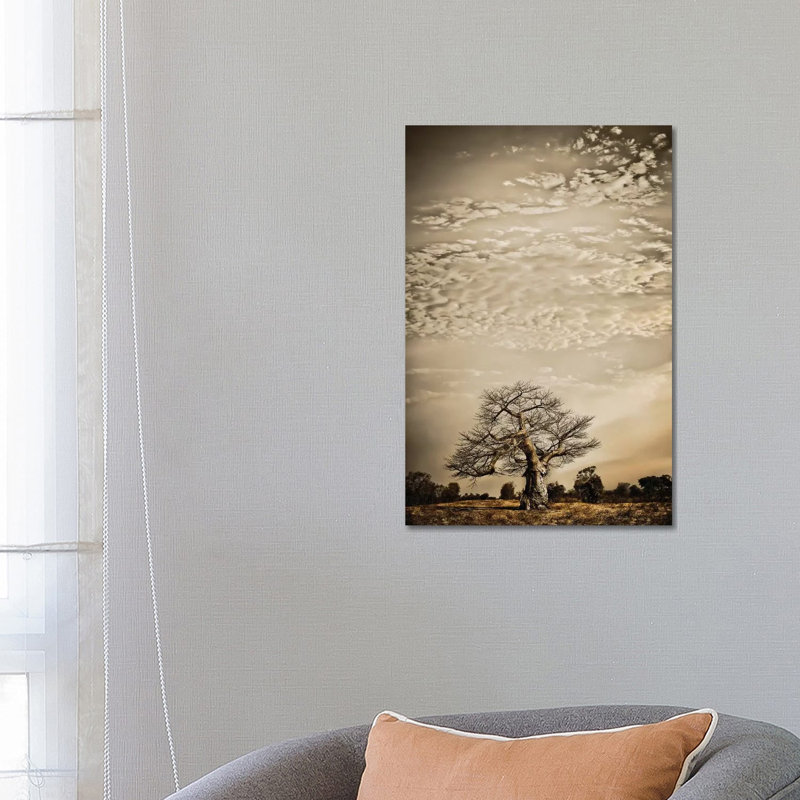 Baobab Hierarchy I by Klaus Tiedge - Print on Canvas, 66.04 cm H x 45.72 cm W x 1.91 cm D, Wrapped Canvas