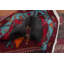 Tapis de couloir oriental géométrique 4 x 13