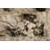 Tyanka Abstract Indoor Rug