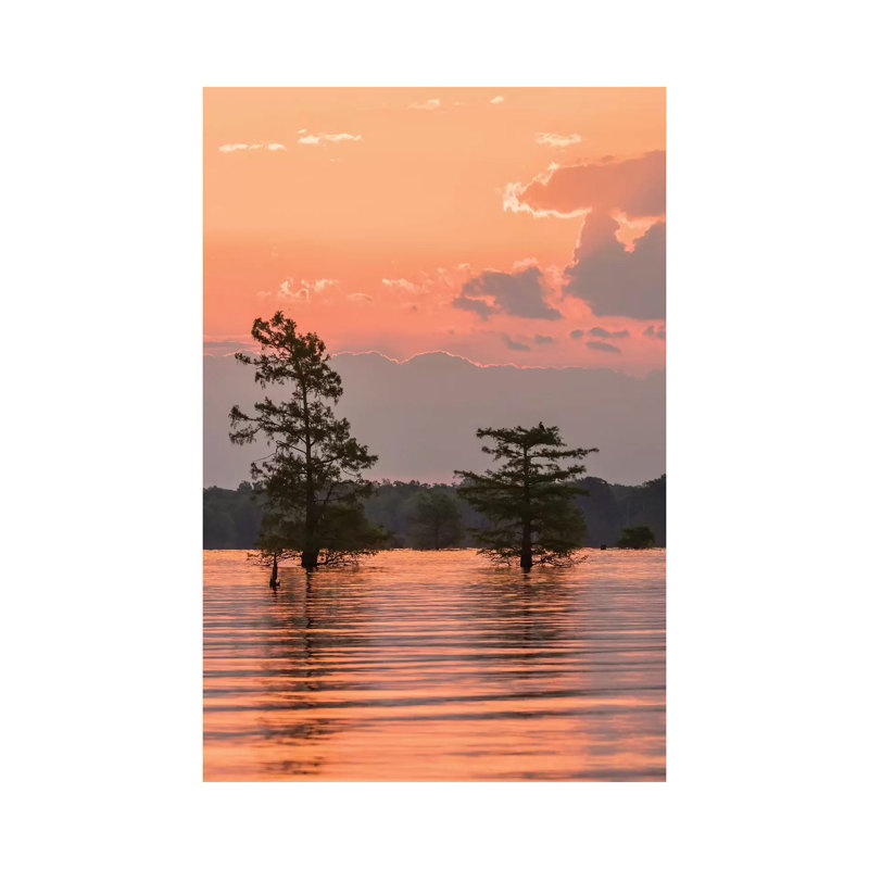 USA, Louisiana, Atchafalaya National Wildlife Refuge. Sunrise On Swamp. by Jaynes Gallery - Wrapped Canvas Print