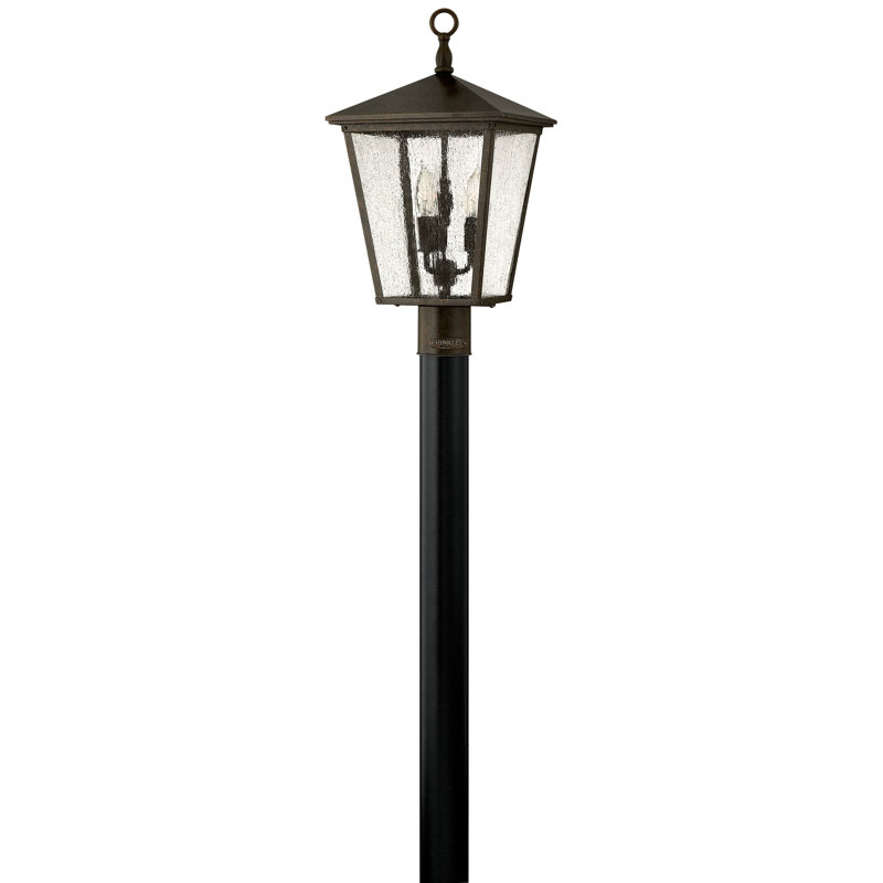 Trellis Bronze 1 -Light 21" H Hardwired Lantern Head, Incandescent