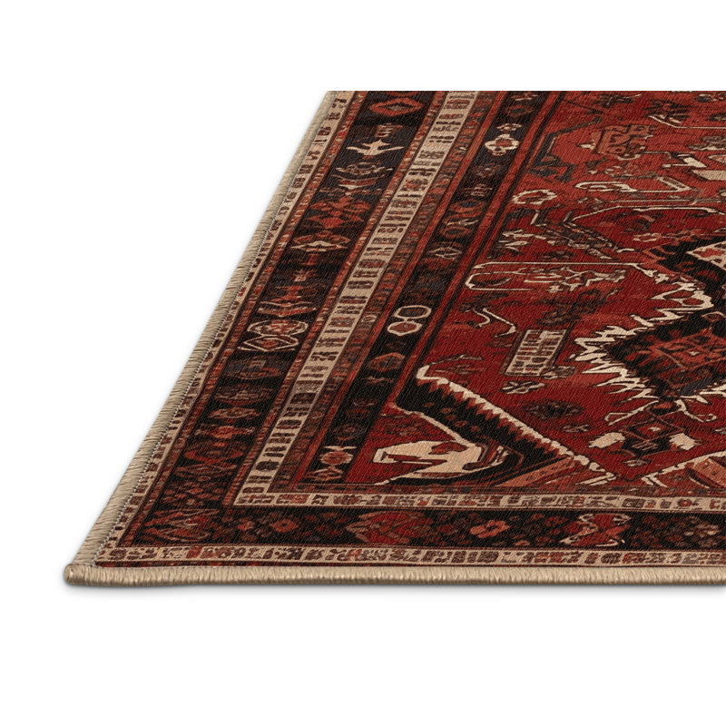 Tapis brun lavable à la machine, Rectangle 5 pi x 8 pi