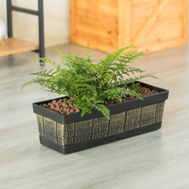 Boîte à fleurs en plastique Sesser, H 5,75 po x l 18,50 po x P 7 po