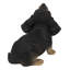 Statue de chiot teckel