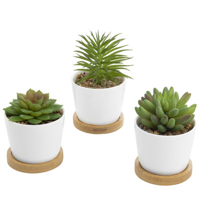 15cm Faux Succulent Plant in Ceramic Pot