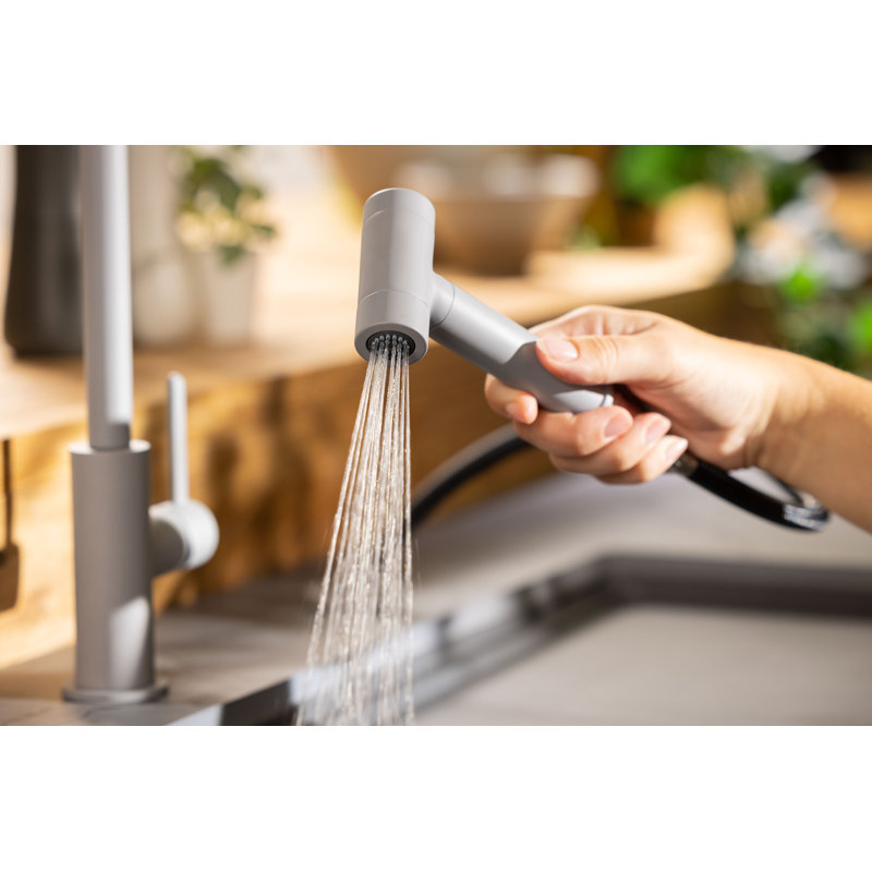 Click Modern Kitchen Hand Spray, Grey