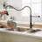 Commercial Black And Nickel Gold Kitchen Faucet With Pull Out Sprayer, Single Handle Single Lever Kitchen Sink Faucet-121210055