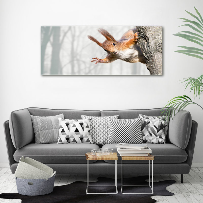 Squirrel - No Frame Print on Glass, Canvas, 50cm H x 125cm W x 2cm D