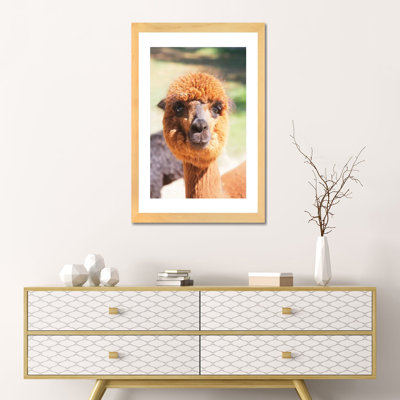 " Puffy Brown Alpaca " by Susan Vizvary