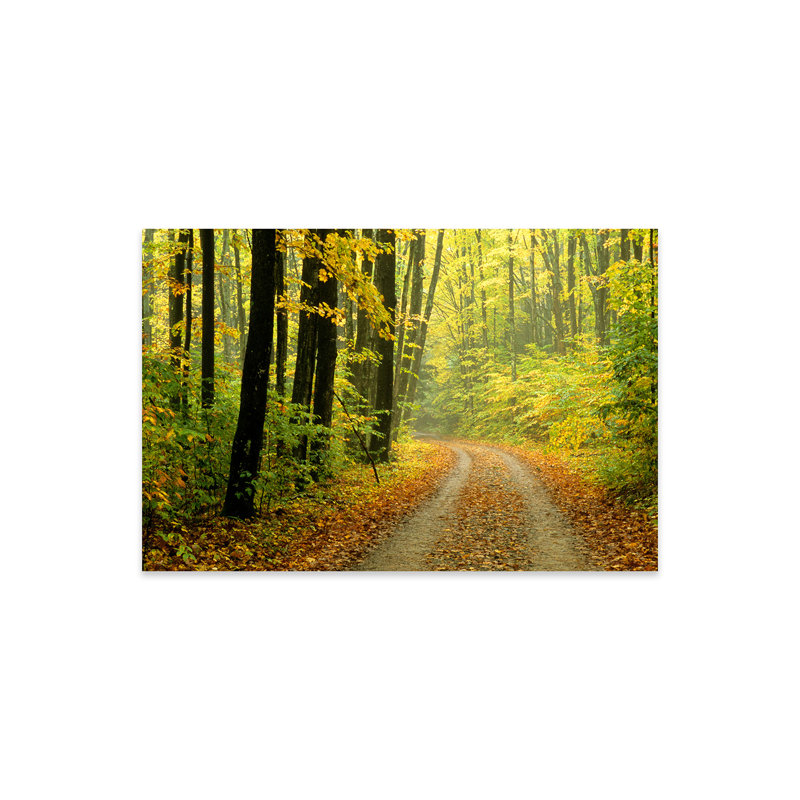 Autumn Forest Landscape, Michigan, USA sur impression plastique / acrylique