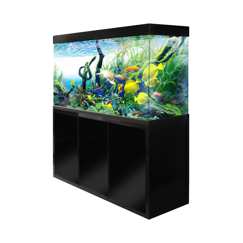 Aqua Dream 260 Gallon White and Silver Glass Aquarium with Stand