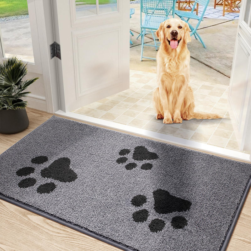 Winston Porter Front Door Mat, Dirt Trapper Doormat for Muddy Paws