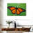 Brampt Pretty Monarch Butterfly-108912913
