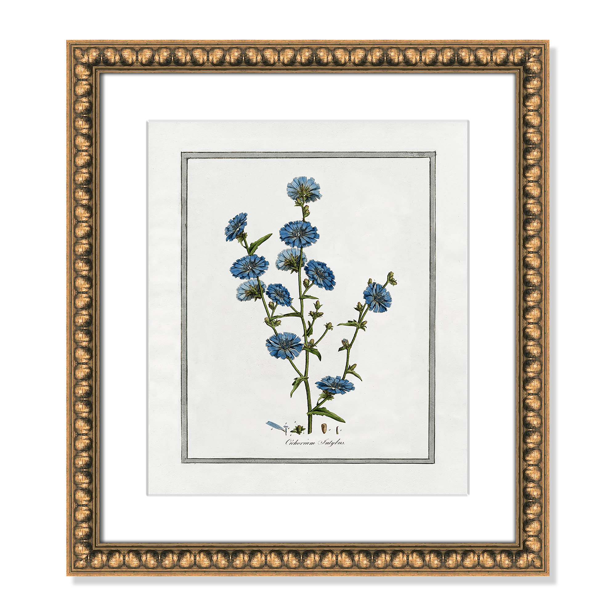 Soft Botanical I - Framed Art Full Bleed, Gold Bead Framed, 14" W x 16" H