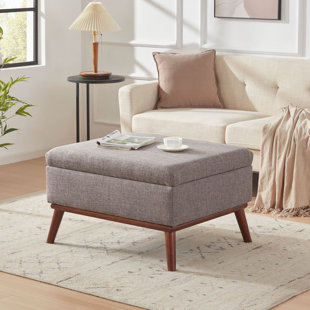 https://assets.wfcdn.com/im/96593714/resize-h310-w310%5Ecompr-r85/2559/255990568/jessalynn-upholstered-storage-ottoman.jpg