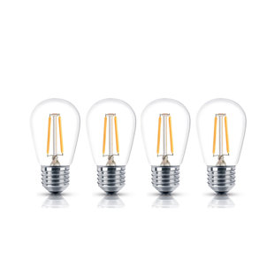 Ampoule del équivalente 25 watts (Ensemble de 4)