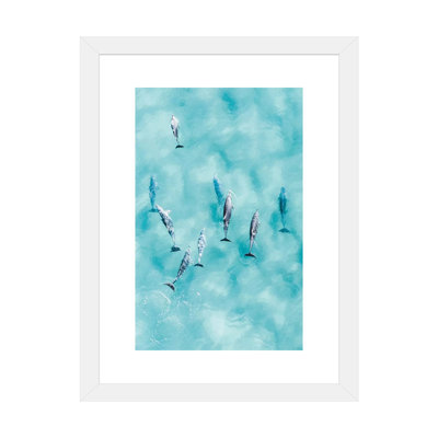 Reproduction d’art, "Cruisy Dolphins III" par Jaxon Roberts