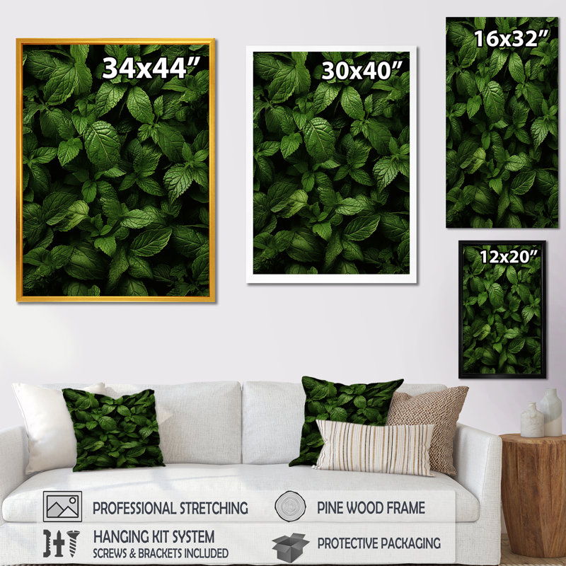 «Herbs Peppermint Breeze 2», art floral herbes murales, H 32 po x l 16 po x P 1 po, Cadre simple noir