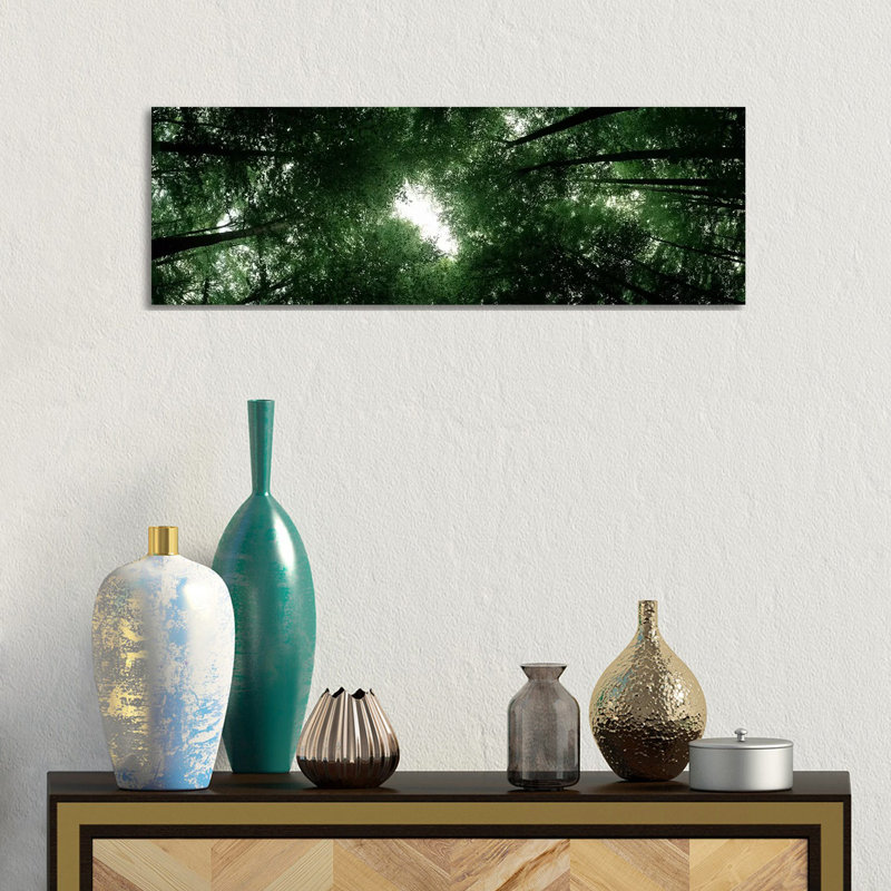 Low Angle View Of Beech Trees, Baden-Wurttemberg, Germany - Wrapped Canvas Panoramic Print