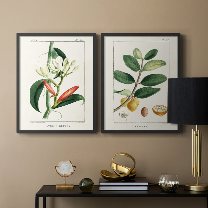 Reproduction encadrée Turpin Tropical Botanicals IX-Premium - prête à être accrochée, Noir, noir, noir, noir