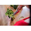 WÜSTHOF Classic Color Velvet Oyster 8" Chef's Knife
