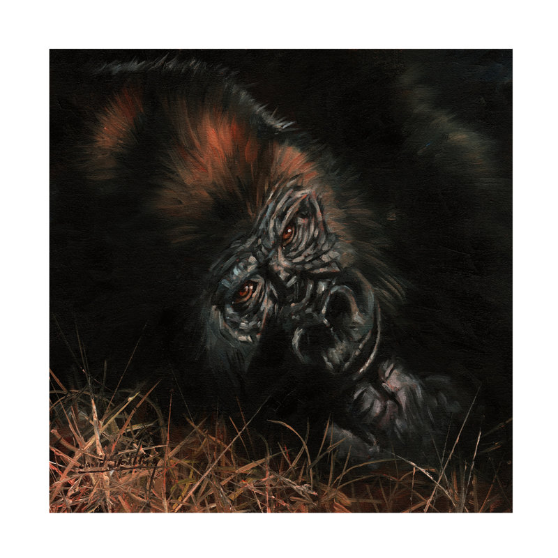 Art sur toile, "David Stribble Gorilla In Bed", H 14 po x l 14 po