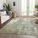 Machine Washable Indoor/Outdoor Xhevrie Aloe Rug