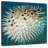 Brampt Puffer Fish-109368102