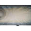 Panos 76'' W Solid Wood Console Table
