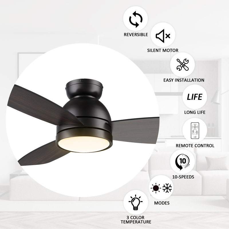 44" Irme 3-Blade  Flush Mount Modern Ceiling Fan with Light , Black, Black