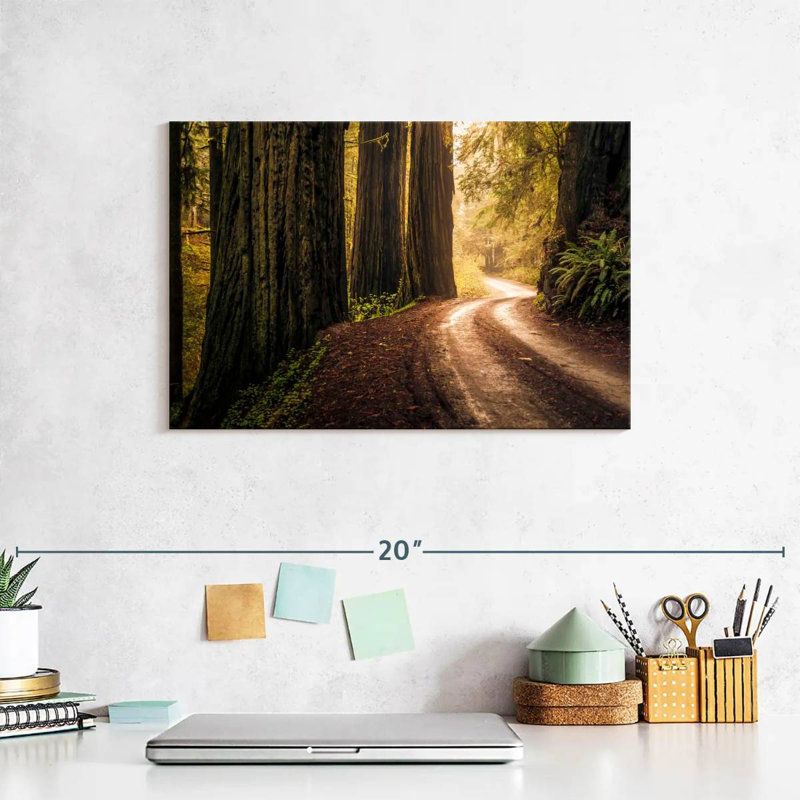 Harnek Howland Hill Road Redwoods, 8'' H x 12'' W